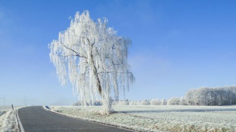 Il Signore ci ha accompagnato sulla strada difficile