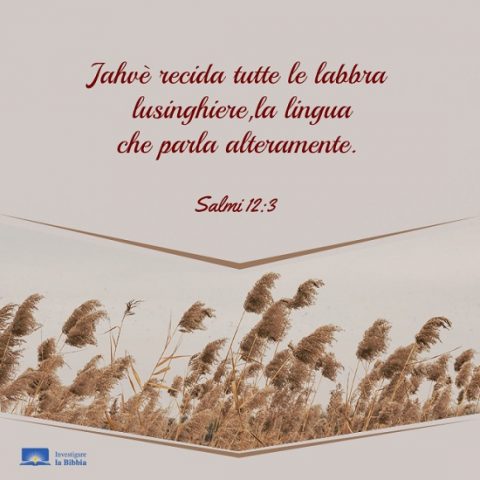 Salmi 12-3