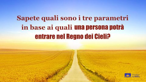 Campo di grano