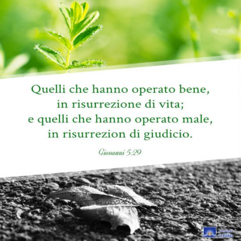 il vangelo di Giovanni