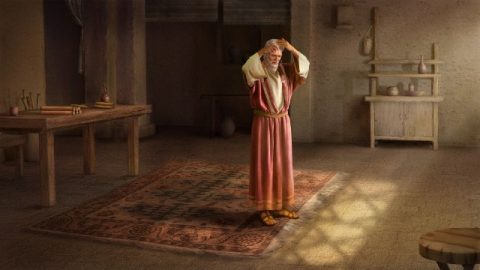 Rasatura di lavoro