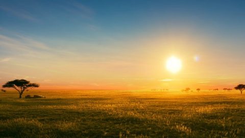 L’uomo può essere salvato solamente nell’ambito della gestione di Dio