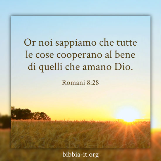 Frasi Bibliche Romani 8 28