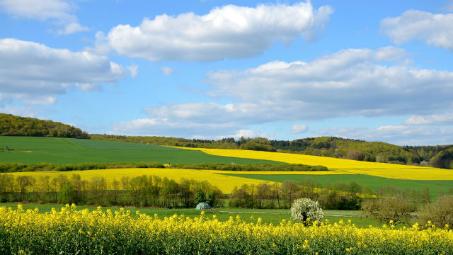 L’ambiente di vita fondamentale che Dio crea per l’umanità le correnti d’aria