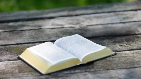 Omelia del vangelo di oggi: Comprendere questi due principi vi aiuterà a trovare la vera Chiesa!