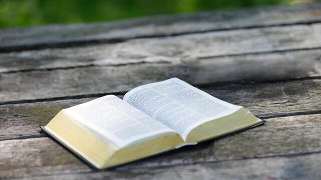 Omelia del vangelo di oggi: Comprendere questi due principi vi aiuterà