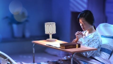 Il miracolo della vita