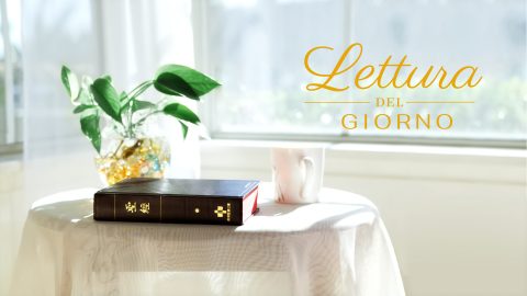 Lettura del giorno