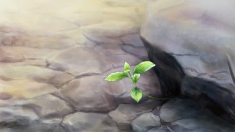 Un piccolo germoglio cresce in un ambiente duro