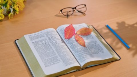 LA BIBBIA