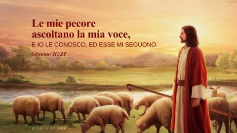Regno dei Cieli