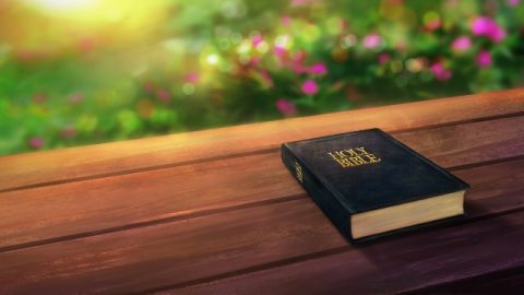 la Bibbia