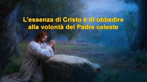 L’essenza di Cristo è di obbedire alla volontà del Padre celeste