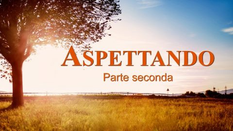 Aspettando Come le vergini sagge accolgono il Signore (Parte seconda)