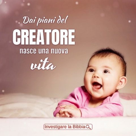 Un sorriso puro di una bambina