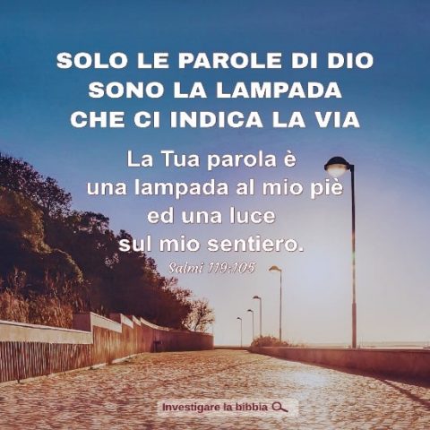 Solo le parole di Dio sono la lampada che ci indica la via