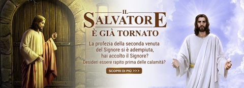 IL Salvatore è già tornato banner