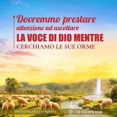 Dovremmo prestare attenzione ad ascoltare la voce di Dio mentre cerchiamo le Sue orme