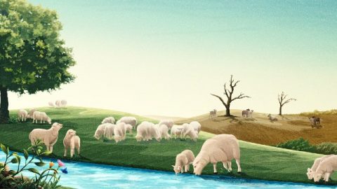 Le pecore che hanno acqua da bere e quelle che non hanno