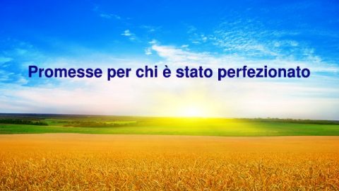Promesse per chi è stato perfezionato