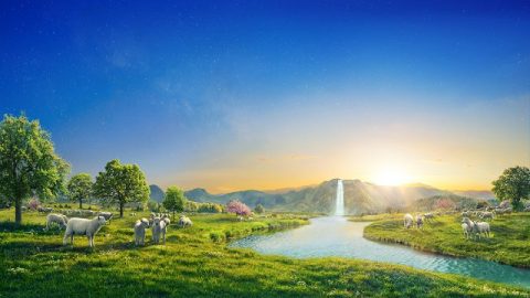 Cristo è la verità, la via e la vita