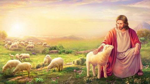 accoglienza del ritorno di Gesù